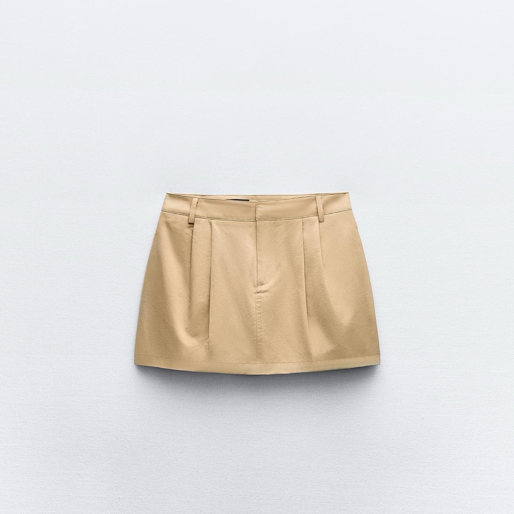 Zara Pleated Mini Skirt